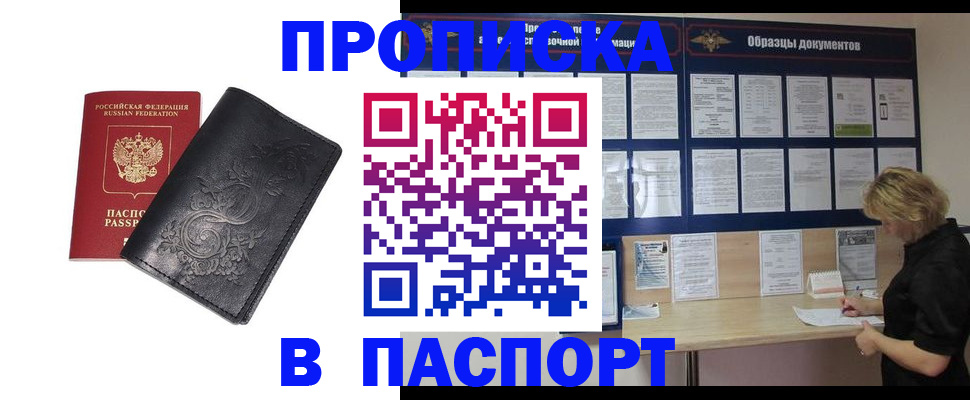 найти адрес прописки в Камышине
